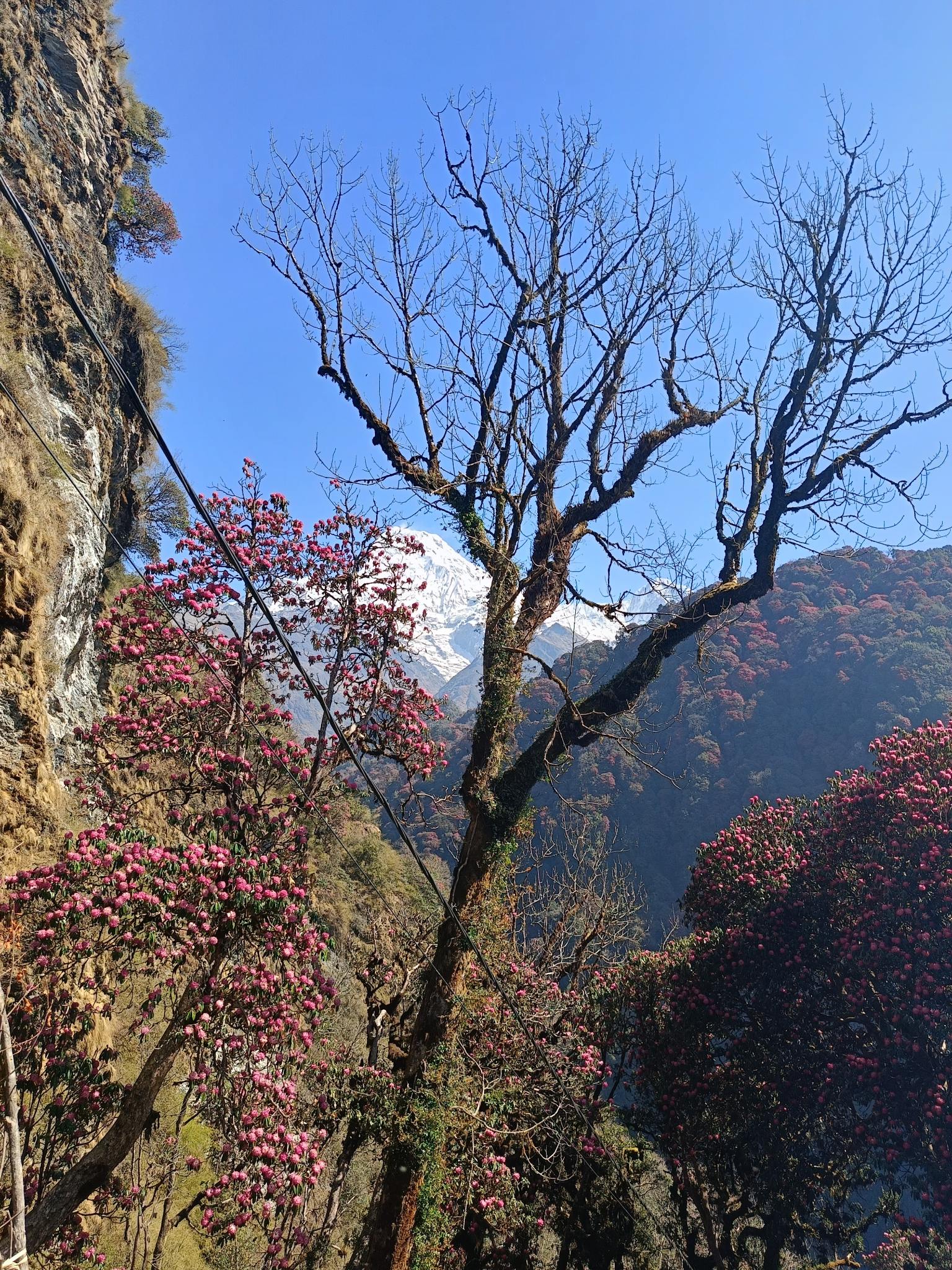 Everest Base Camp Trekking | Trekking In Nepal |