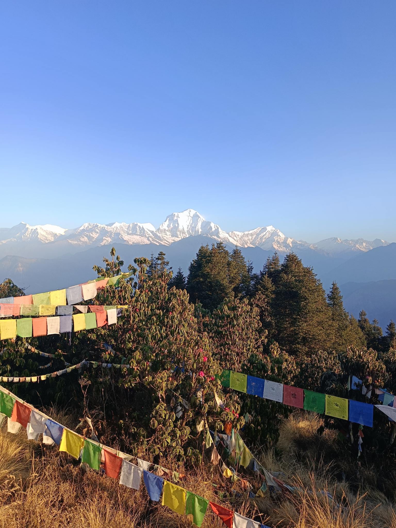 Everest Base Camp Trekking | Trekking In Nepal |