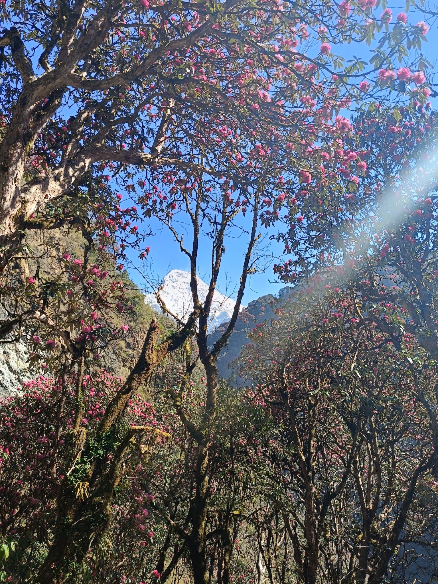 Everest Base Camp Trekking | Trekking In Nepal |